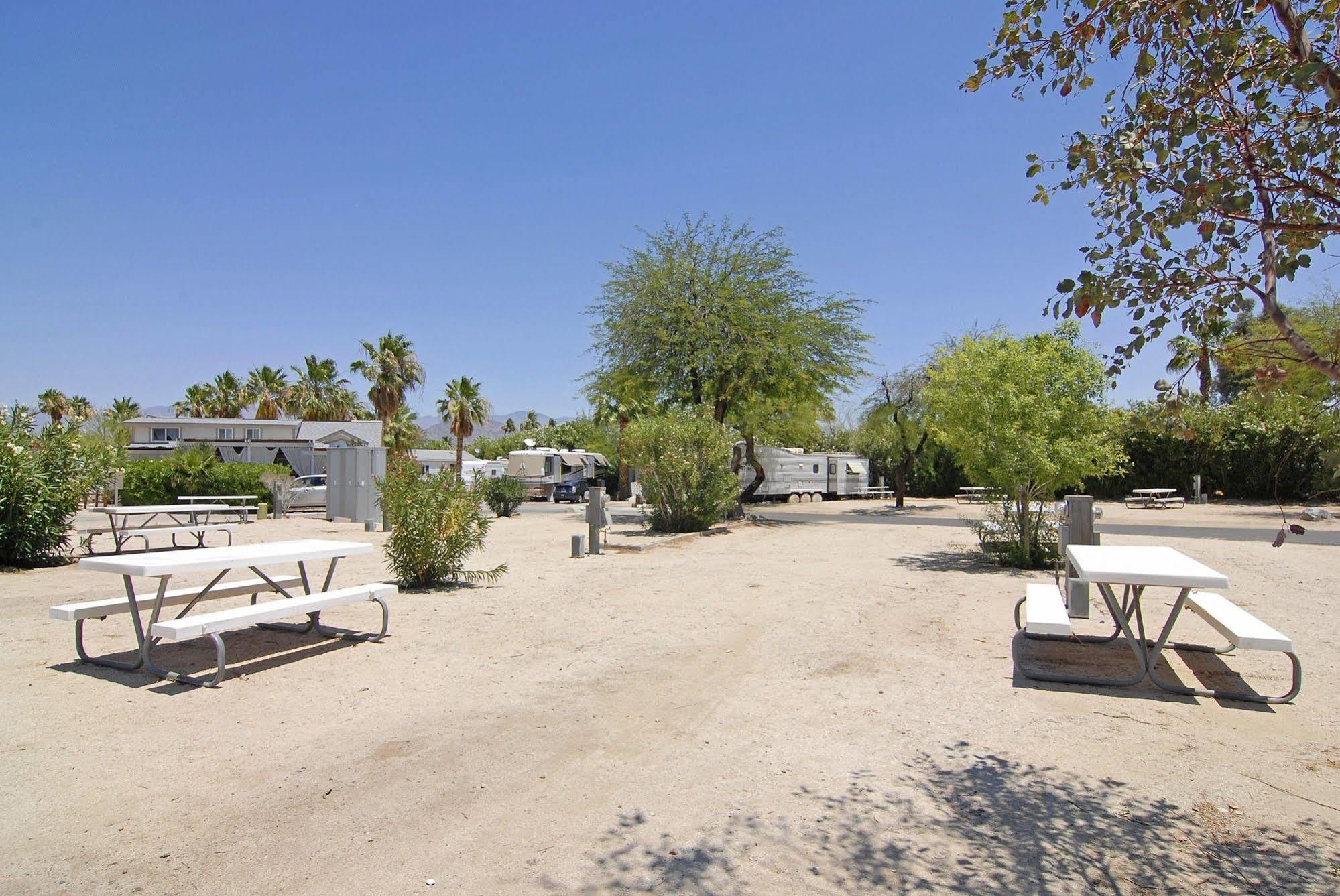 Palm Canyon Hotel And Rv Resort Borrego Springs Zewnętrze zdjęcie